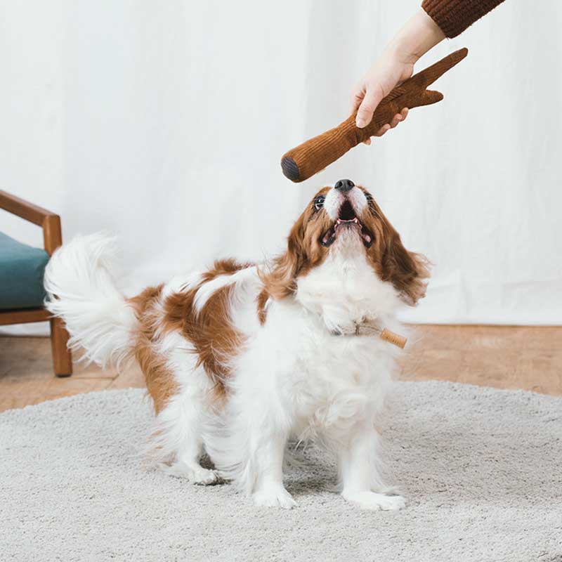 Wetnose Ash Wood Dog Toy - CreatureLand