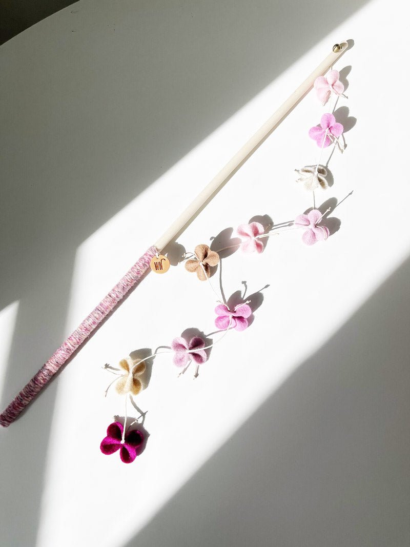 Wetnose Butterfly Cat Teaser (5 Colours) - CreatureLand