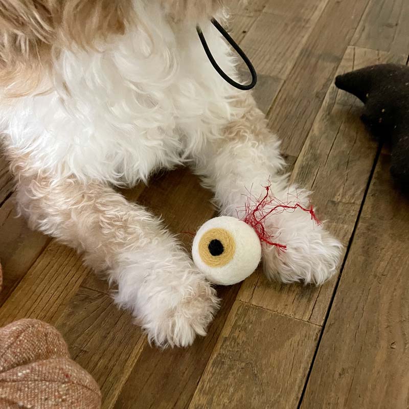 Wetnose Eyeball Wool Toy - CreatureLand