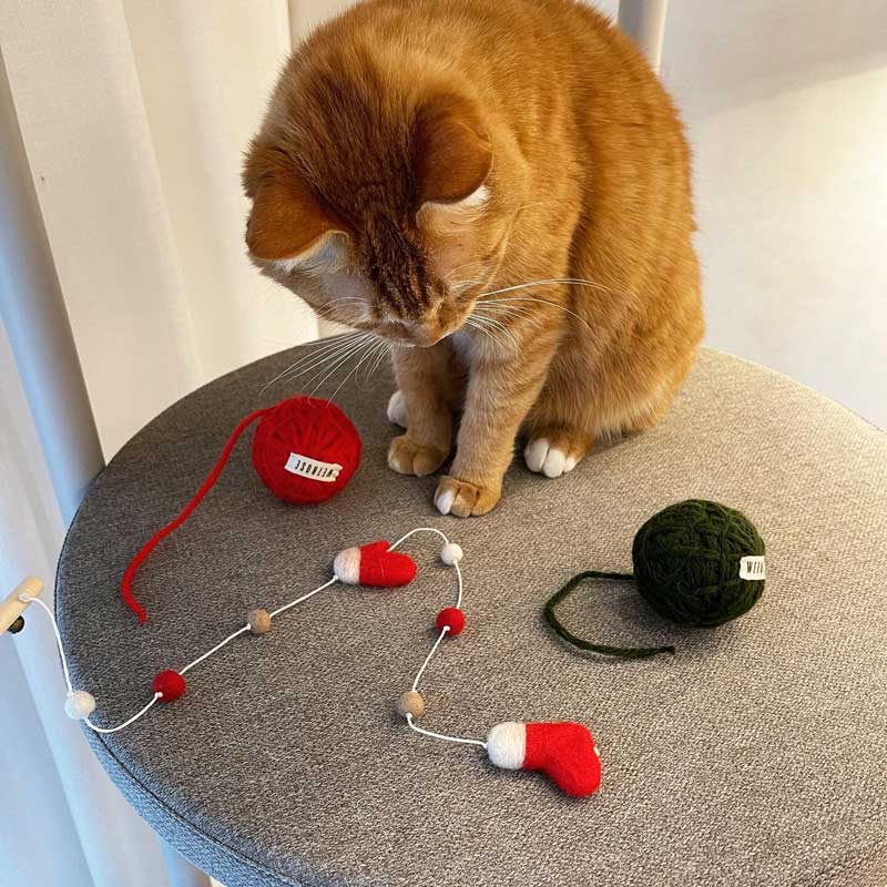 Wetnose Falling Snow Cat Teaser - CreatureLand