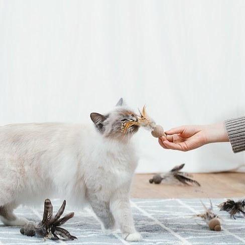 Wetnose Feather Mini Ball Cat Toy - CreatureLand
