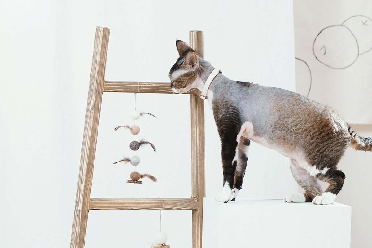 Wetnose Leaving Bird Cat Teaser Toy - CreatureLand