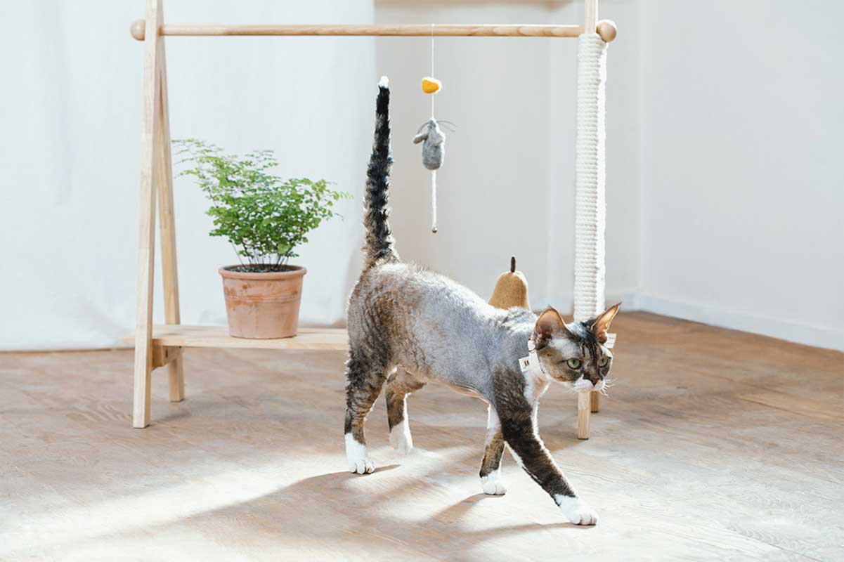 Wetnose Mouse & Cheese Cat Teaser Toy - CreatureLand
