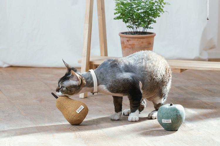 Wetnose Pear Catnip Toy - CreatureLand