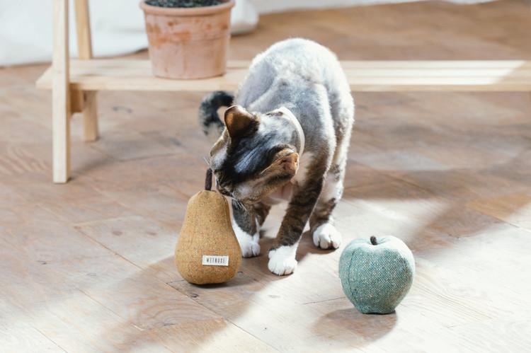 Wetnose Pear Catnip Toy - CreatureLand