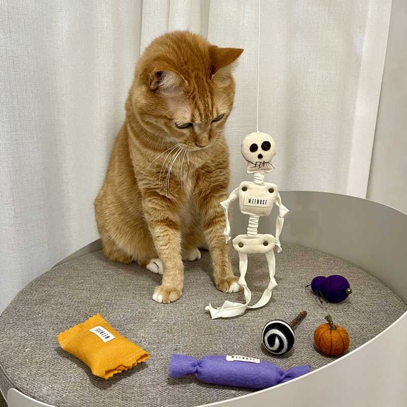 Wetnose [PREORDER] Skeleton Cat Teaser - CreatureLand