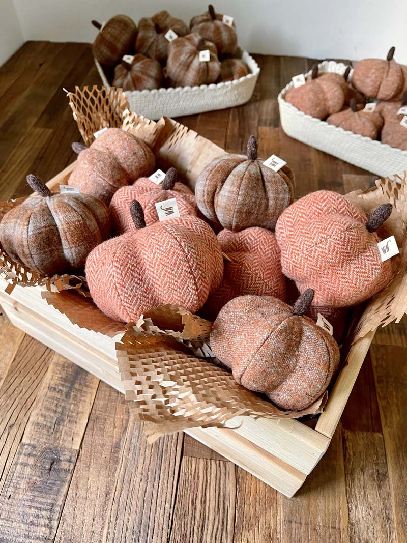 Wetnose Pumpkin Catnip Toy - CreatureLand