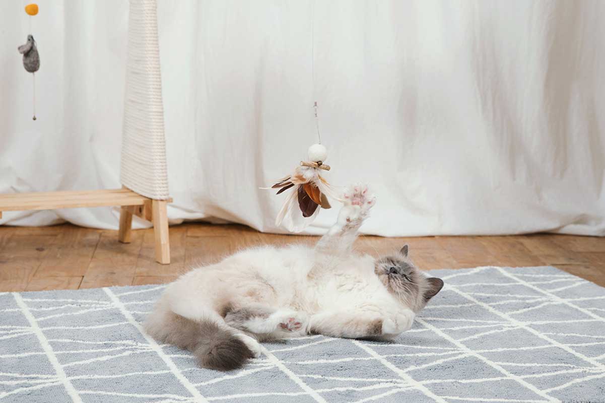 Wetnose Resting Bird Cat Teaser Toy - CreatureLand