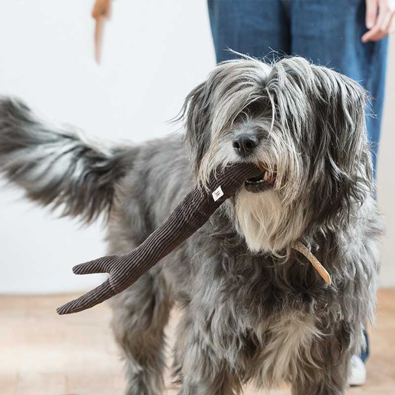Wetnose Walnut Wood Dog Toy - CreatureLand