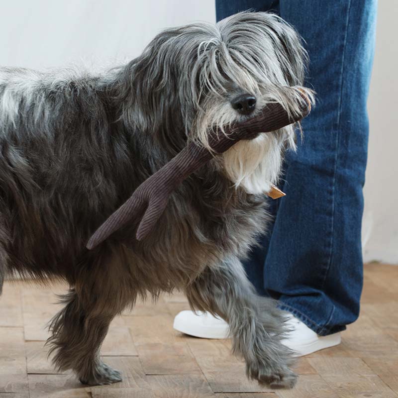 Wetnose Walnut Wood Dog Toy - CreatureLand