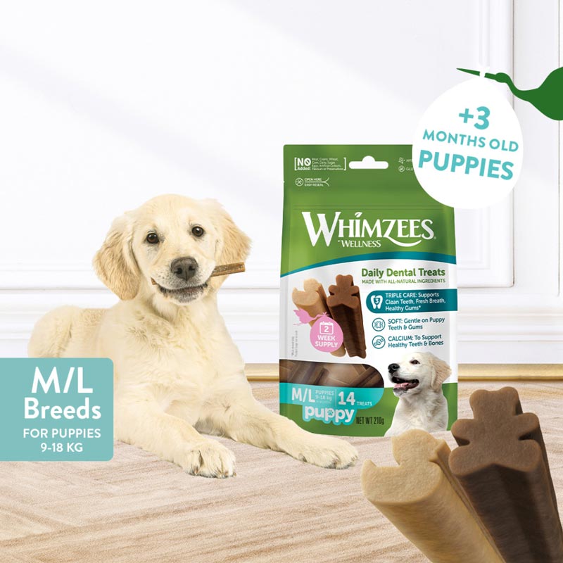 Whimzees Natural Puppy Dental Dog Chews - CreatureLand