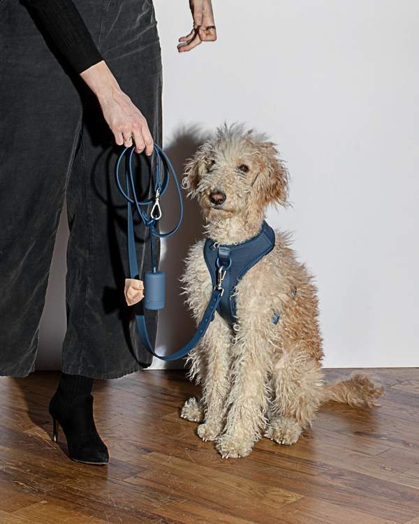 Wild One Poop Bag Carrier - Navy - CreatureLand