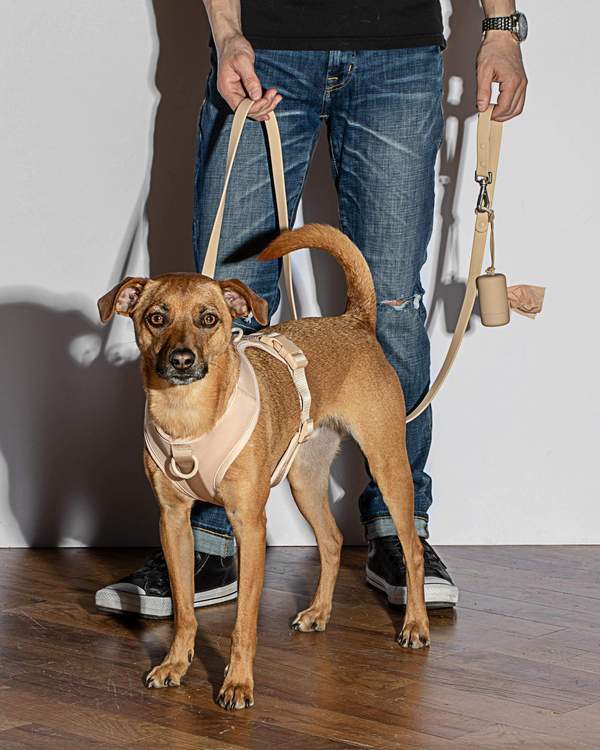 Wild One Poop Bag Carrier - Tan - CreatureLand