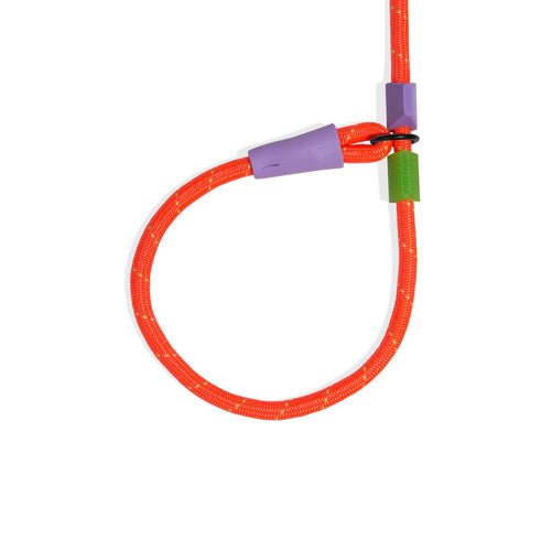 Zee.Dog Slip-N-Lock Everest Leash - CreatureLand