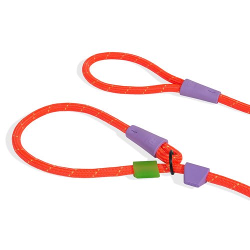 Zee.Dog Slip-N-Lock Everest Leash - CreatureLand