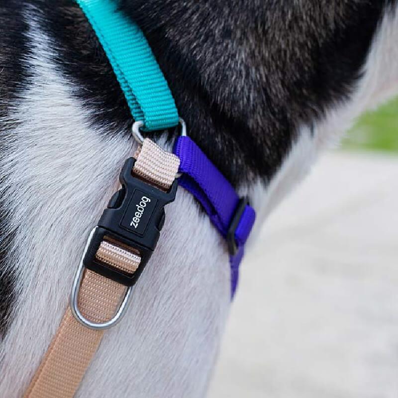 Zee.Dog Soft-Walk Harness - Boogie - CreatureLand