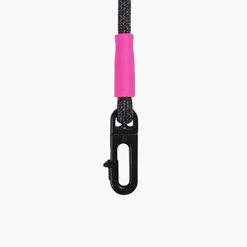 Zee.Dog Staple x Zee.Dog - Hands-Free Leash - CreatureLand
