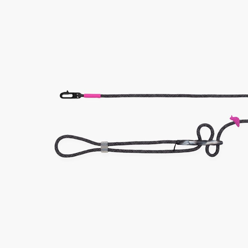 Zee.Dog Staple x Zee.Dog - Hands-Free Leash - CreatureLand