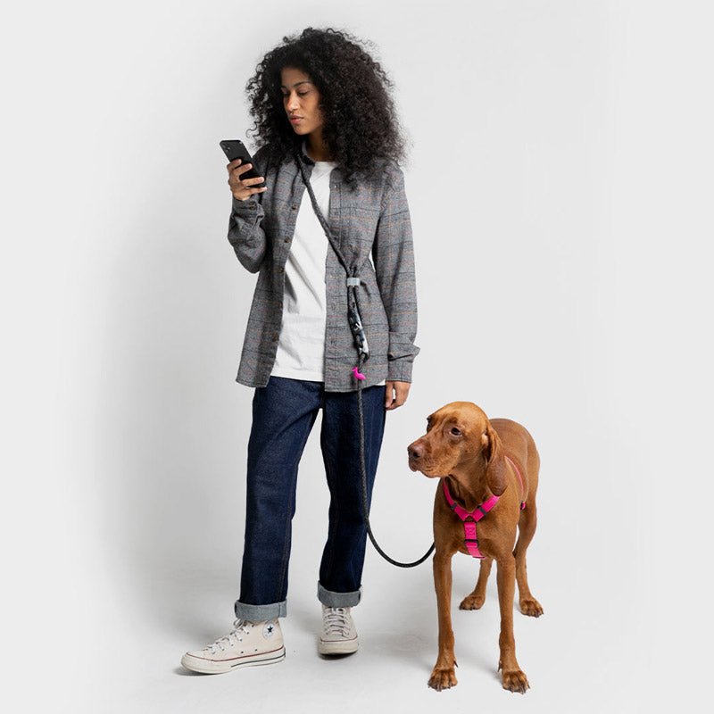 Zee.Dog Staple x Zee.Dog - Hands-Free Leash - CreatureLand