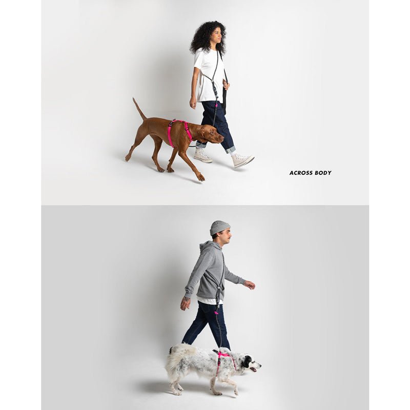 Zee.Dog Staple x Zee.Dog - Hands-Free Leash - CreatureLand