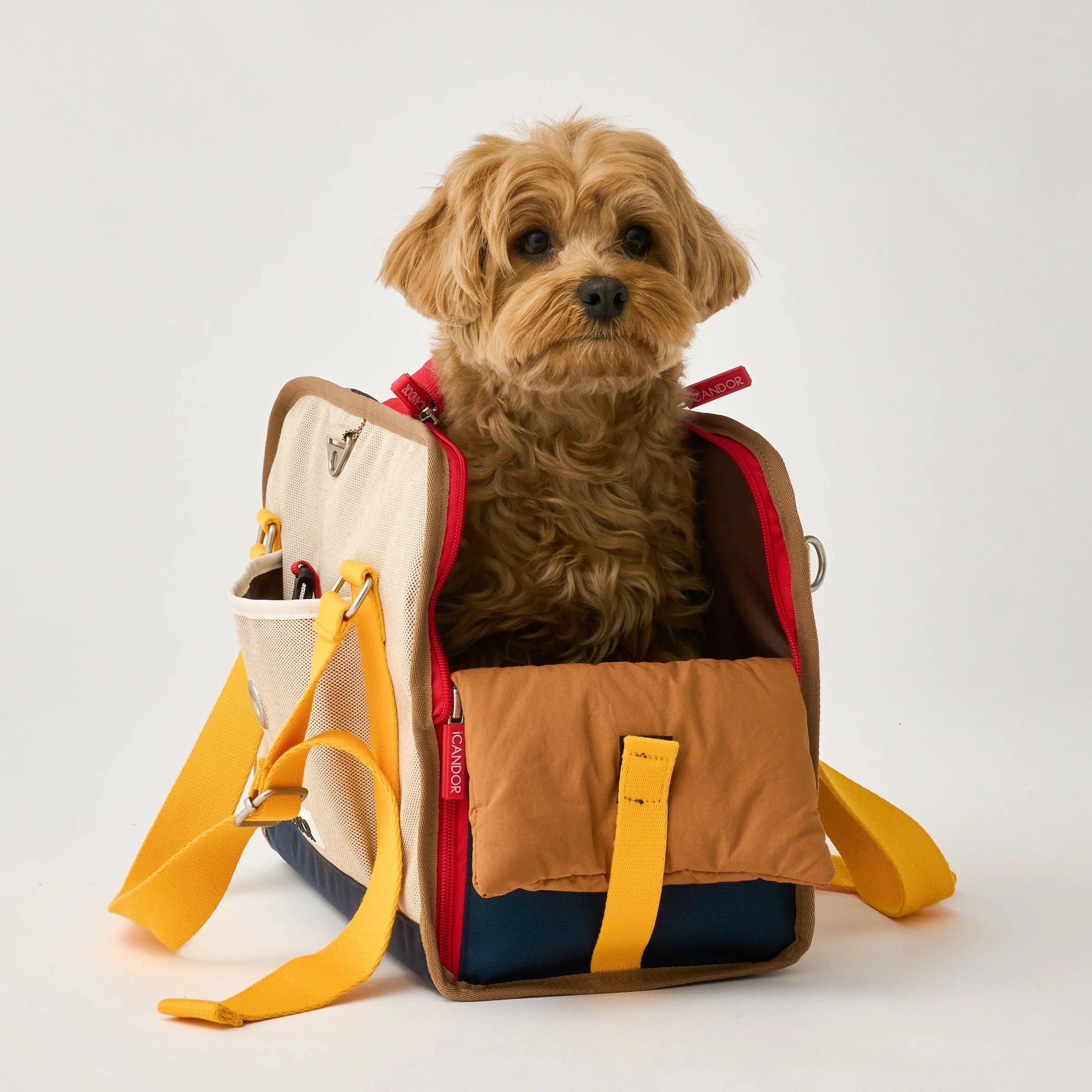 iBag Airline Approved Pet Carrier | Sassy Cream (2 Sizes)