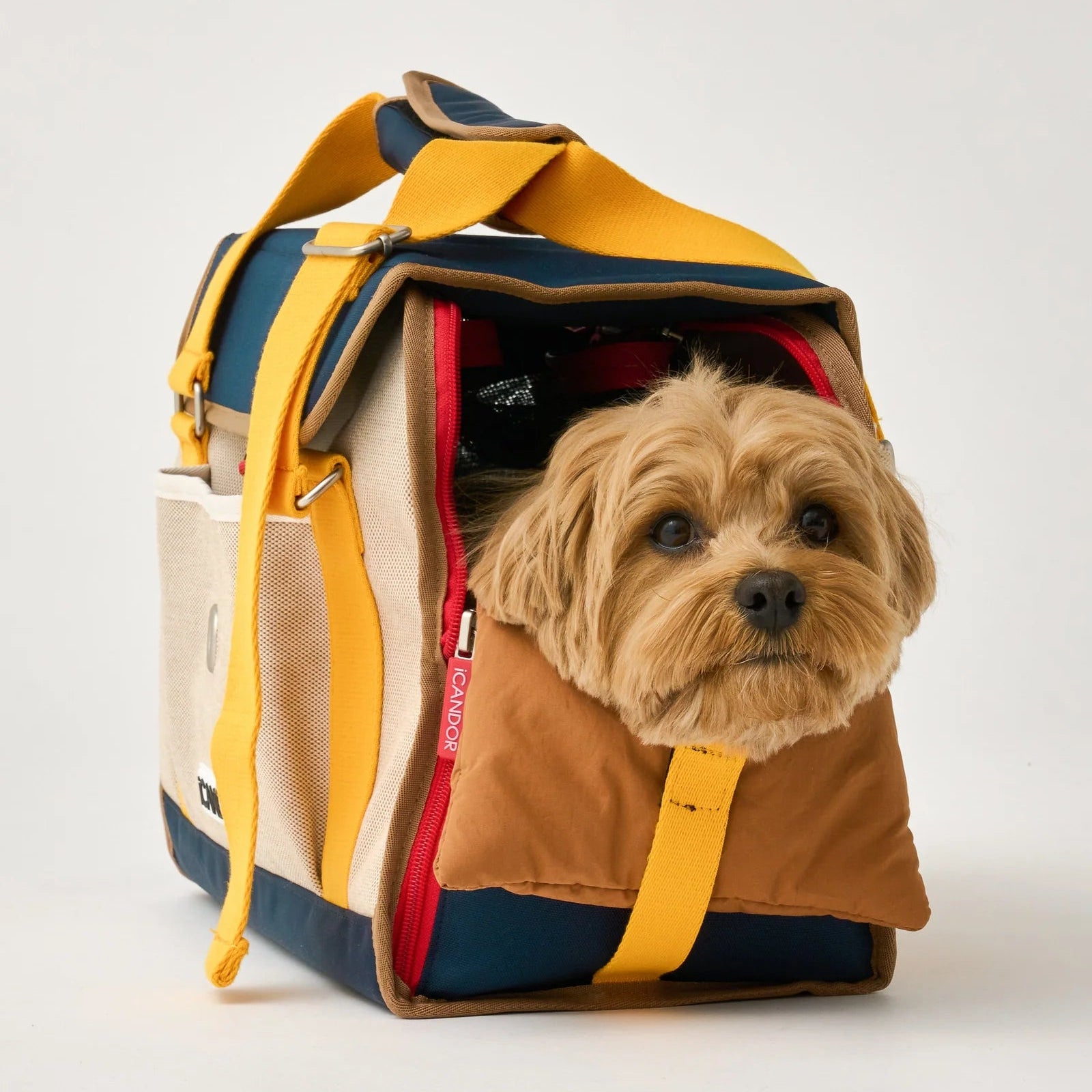 iCandor - iBag Airline Approved Pet Carrier in Sassy Cream (2