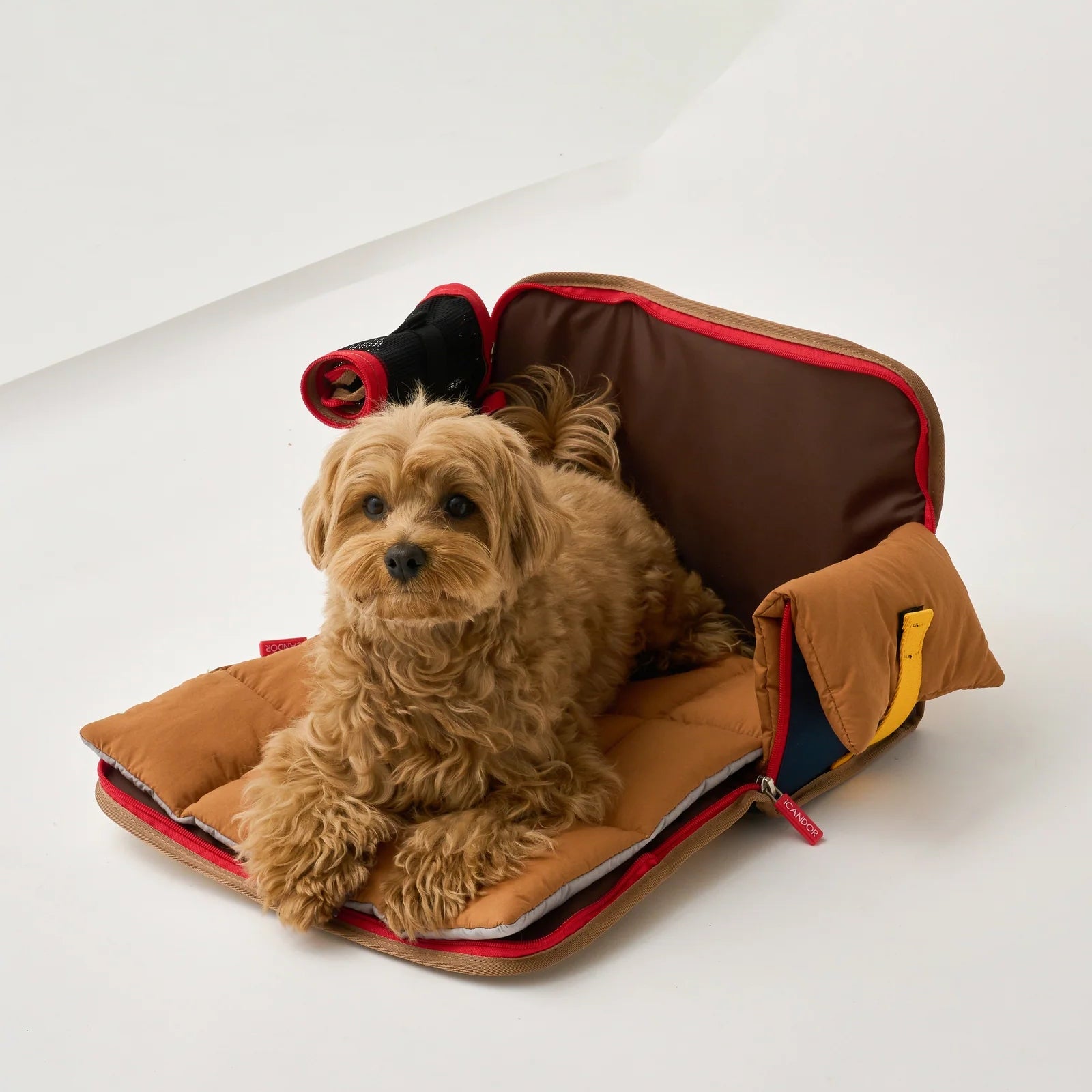 iCandor - iBag Airline Approved Pet Carrier in Sassy Cream (2