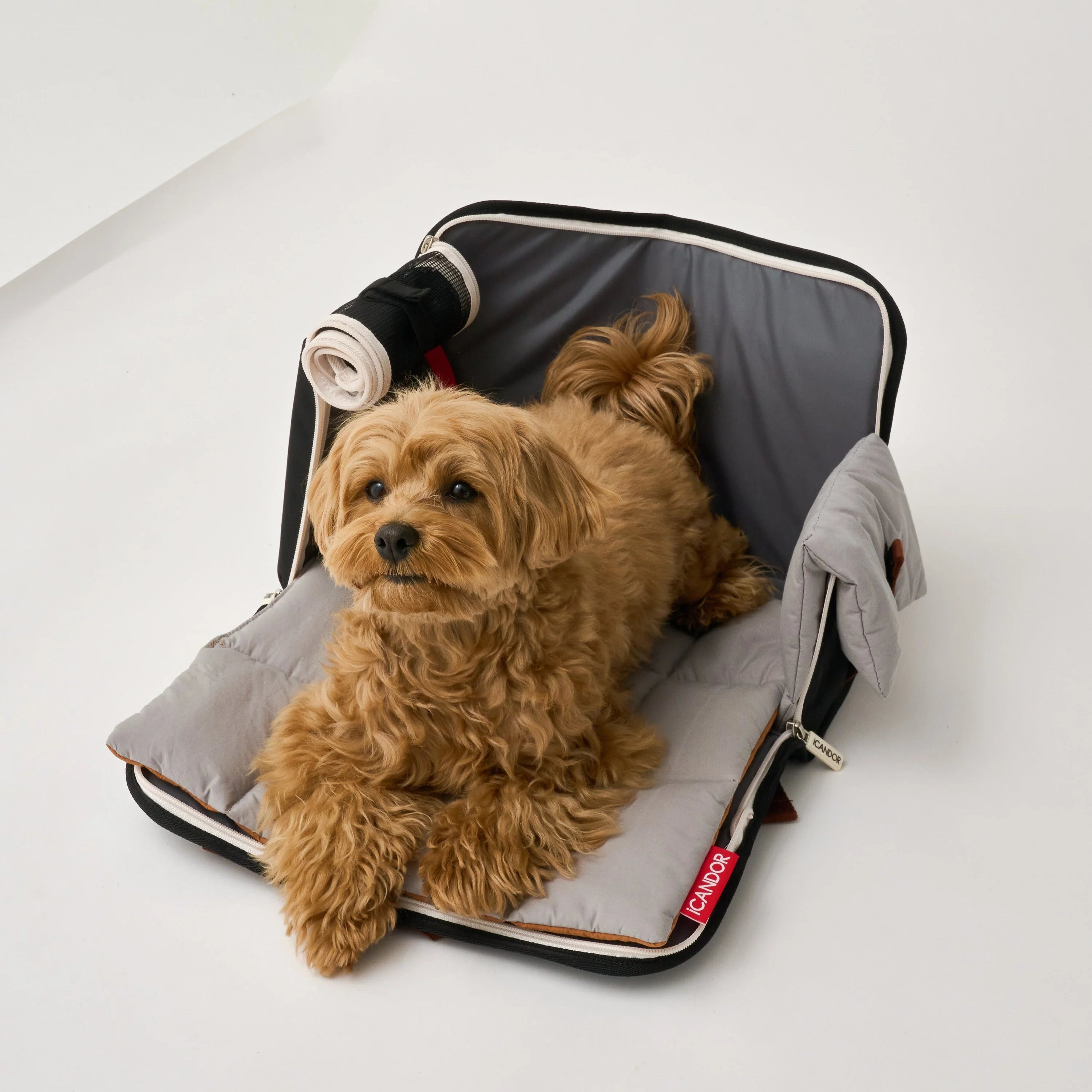 iBag Airline Approved Pet Carrier | Shy Navy (2 Sizes)