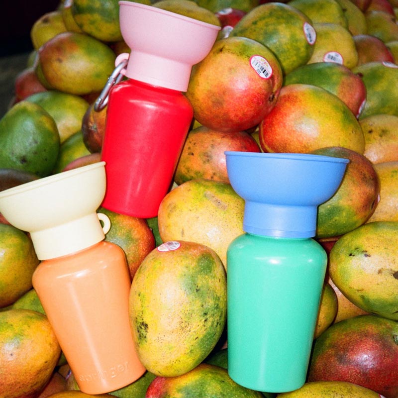 Limited Edition | Flip Dog Travel Bottle (20oz)