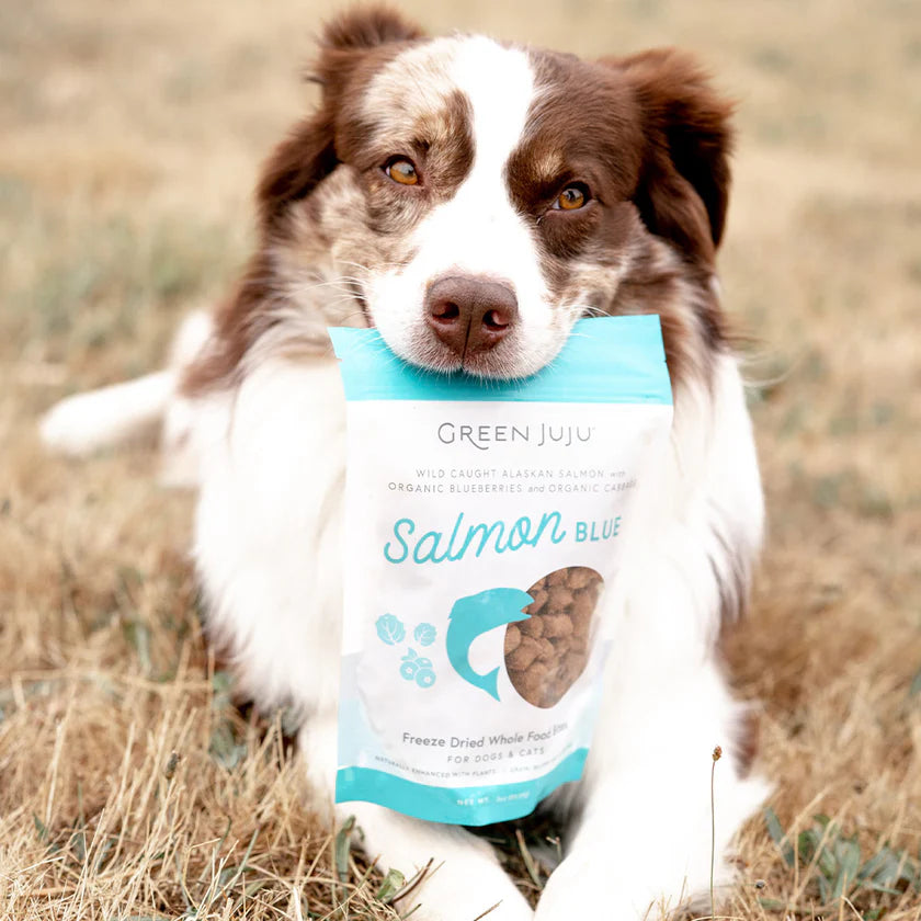 Salmon Blue Freeze Dried Whole Food Bites