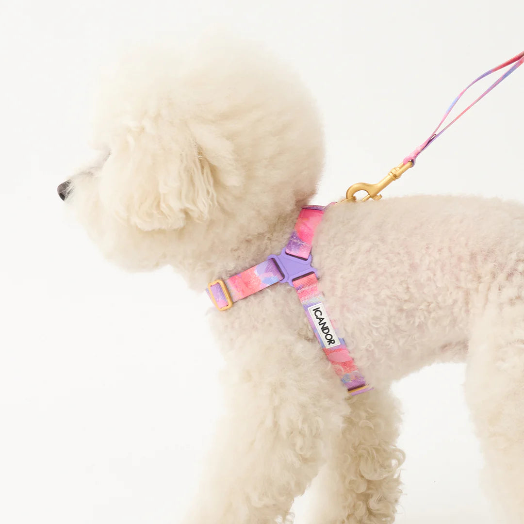 No-Pull Harness | Milky Way