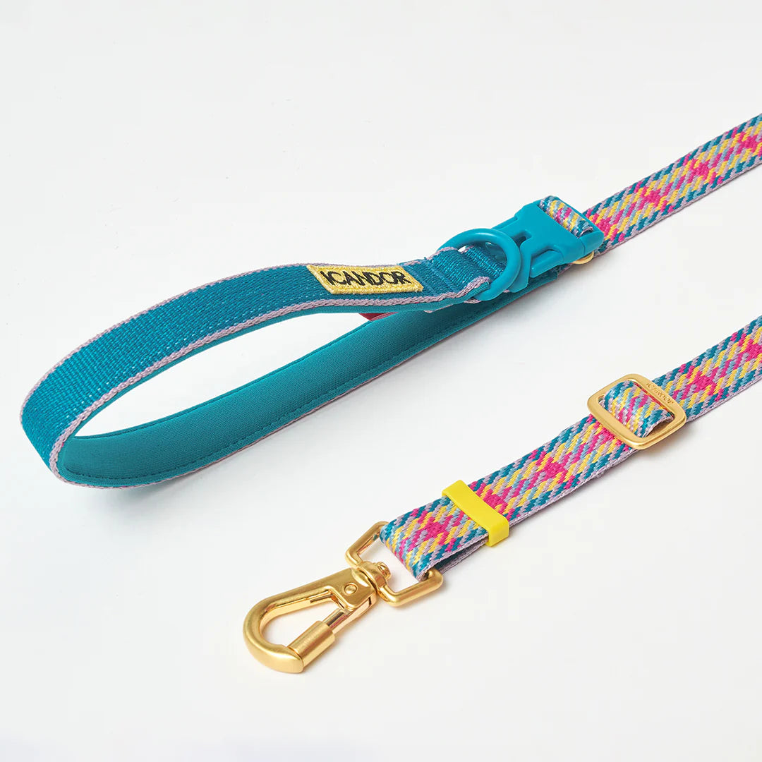 Gentle Multi-Functional Adjustable Bolt Leash – Regular & Hands-Free Walk | Edinburgh Check