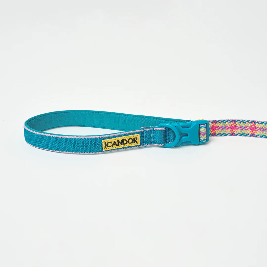 Gentle Multi-Functional Adjustable Bolt Leash – Regular & Hands-Free Walk | Edinburgh Check