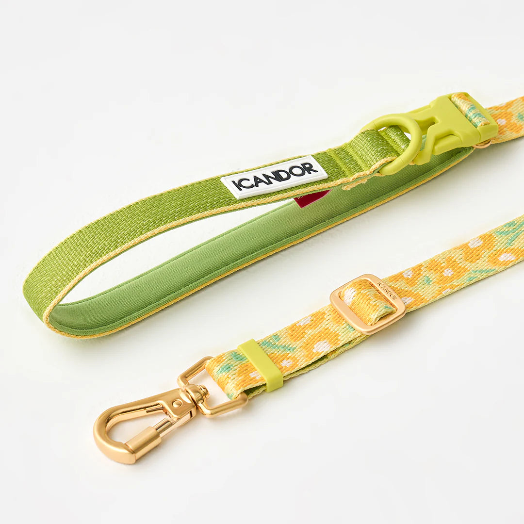 Gentle Multi-Functional Adjustable Bolt Leash – Regular & Hands-Free Walk | Big Fish Yellow