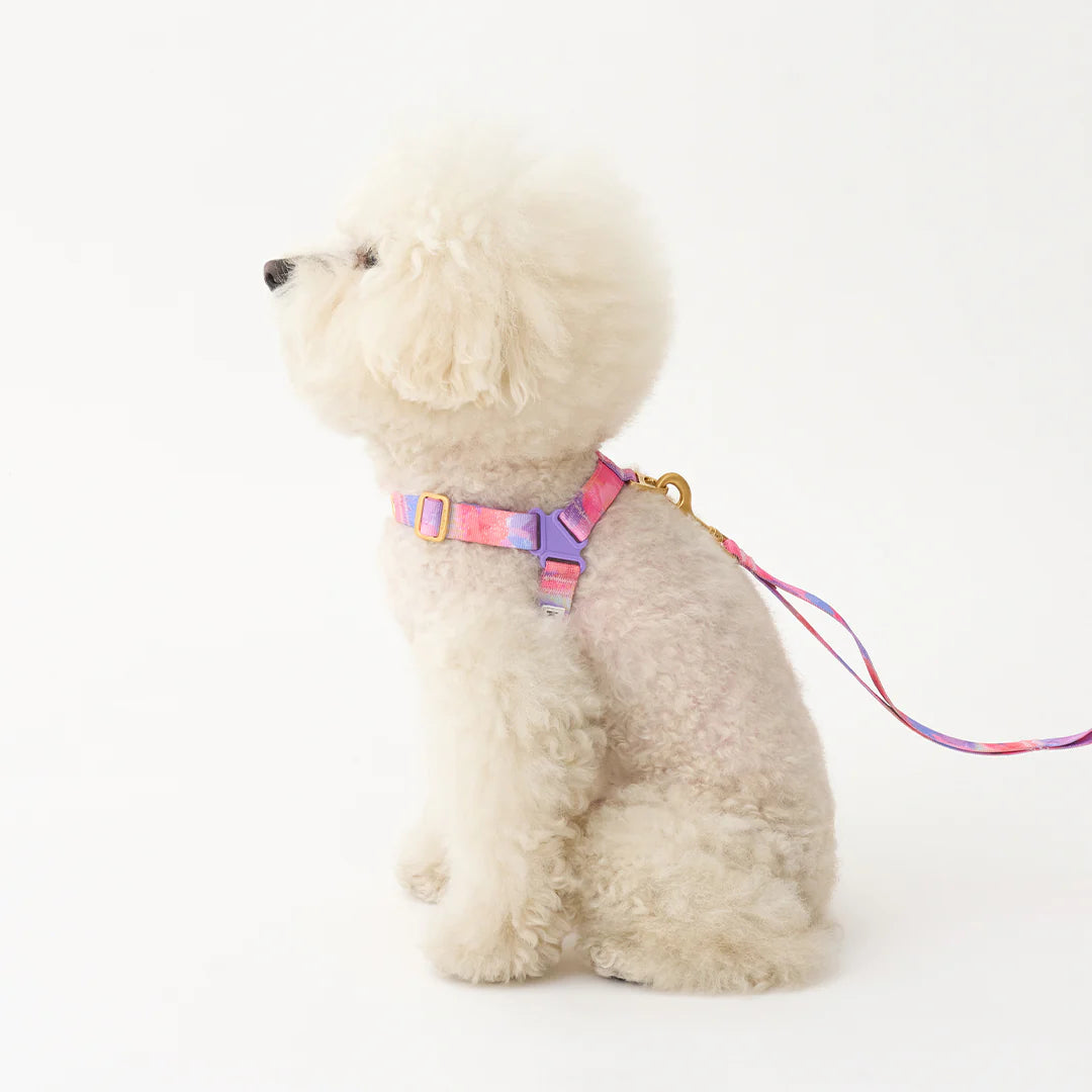 No-Pull Harness | Milky Way