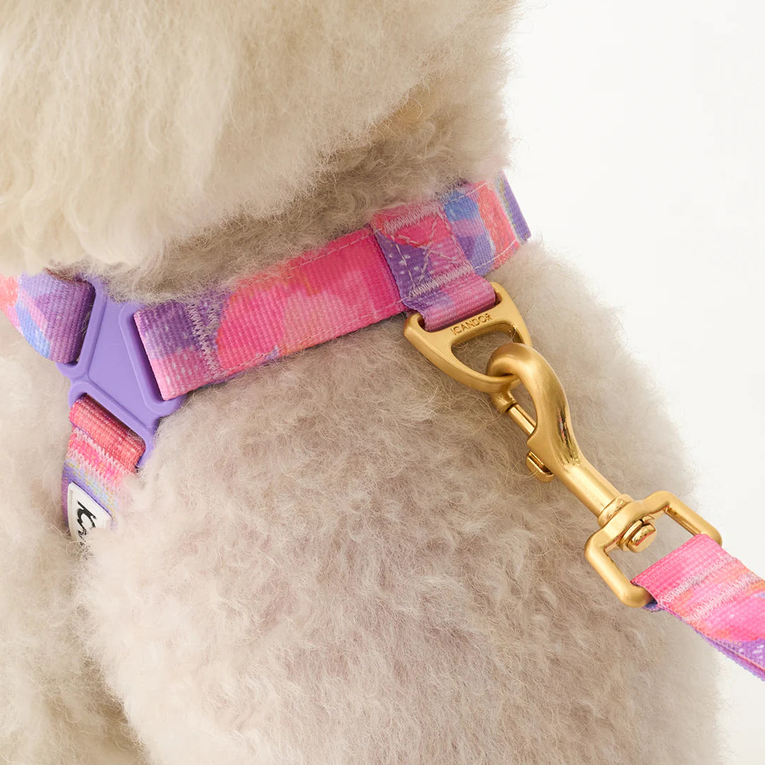 No-Pull Harness | Milky Way