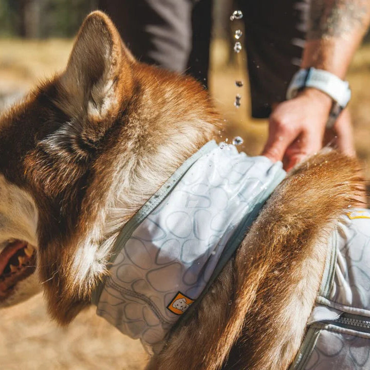 Swamp Cooler™ Cooling Neck Gaiter (2 Colours)