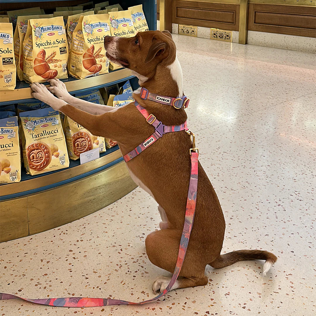 No-Pull Harness | Milky Way