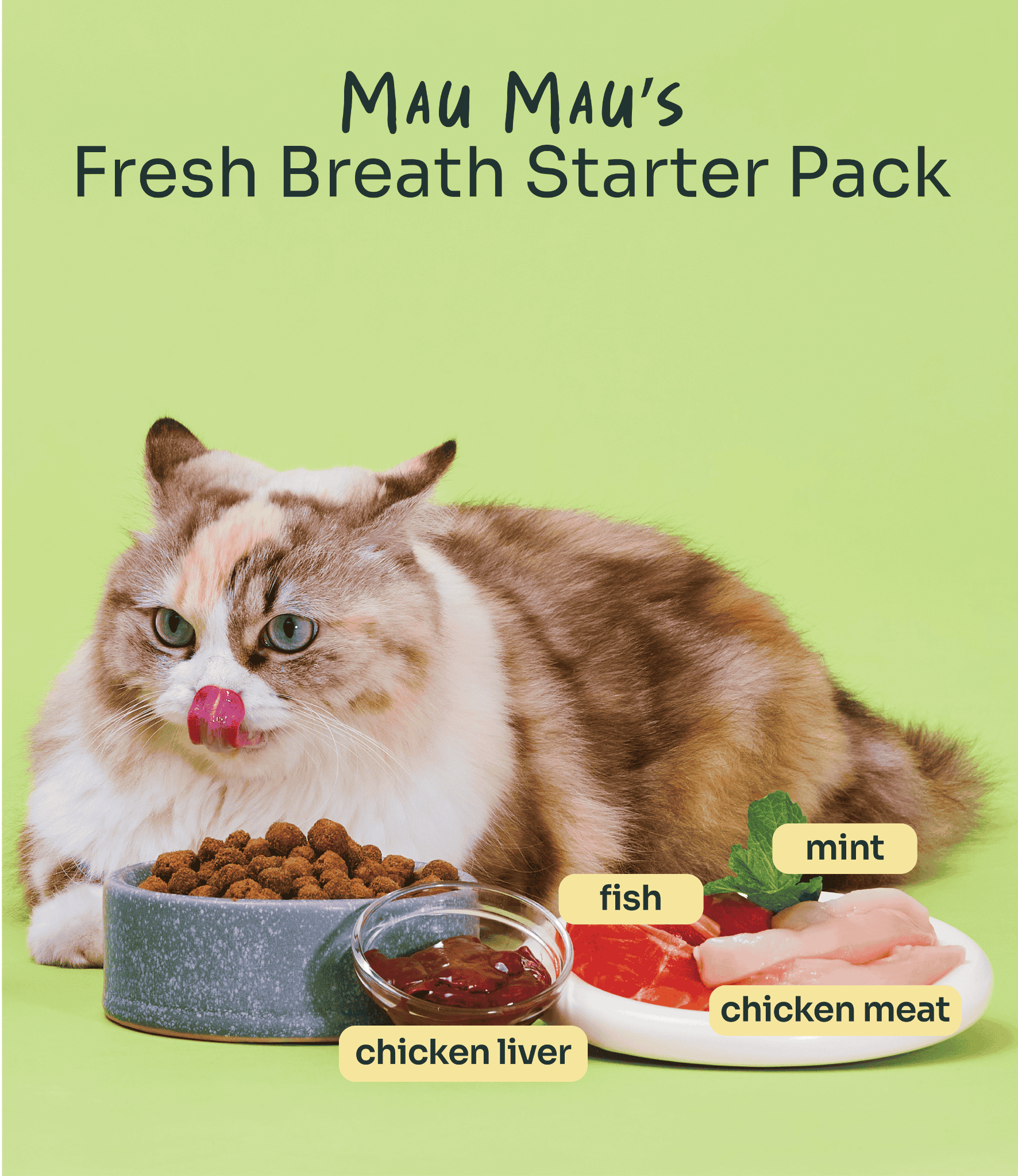 Notti Cat Plaque Control Dental Crunch (80g)