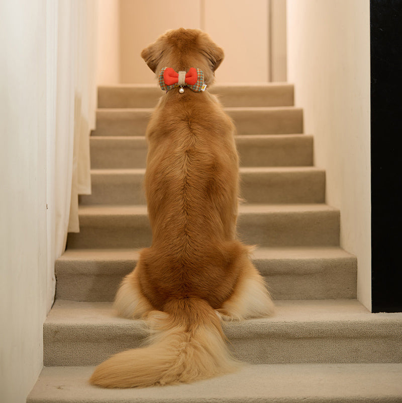 Candy Jellybon Pet Collar Clip (Bow)