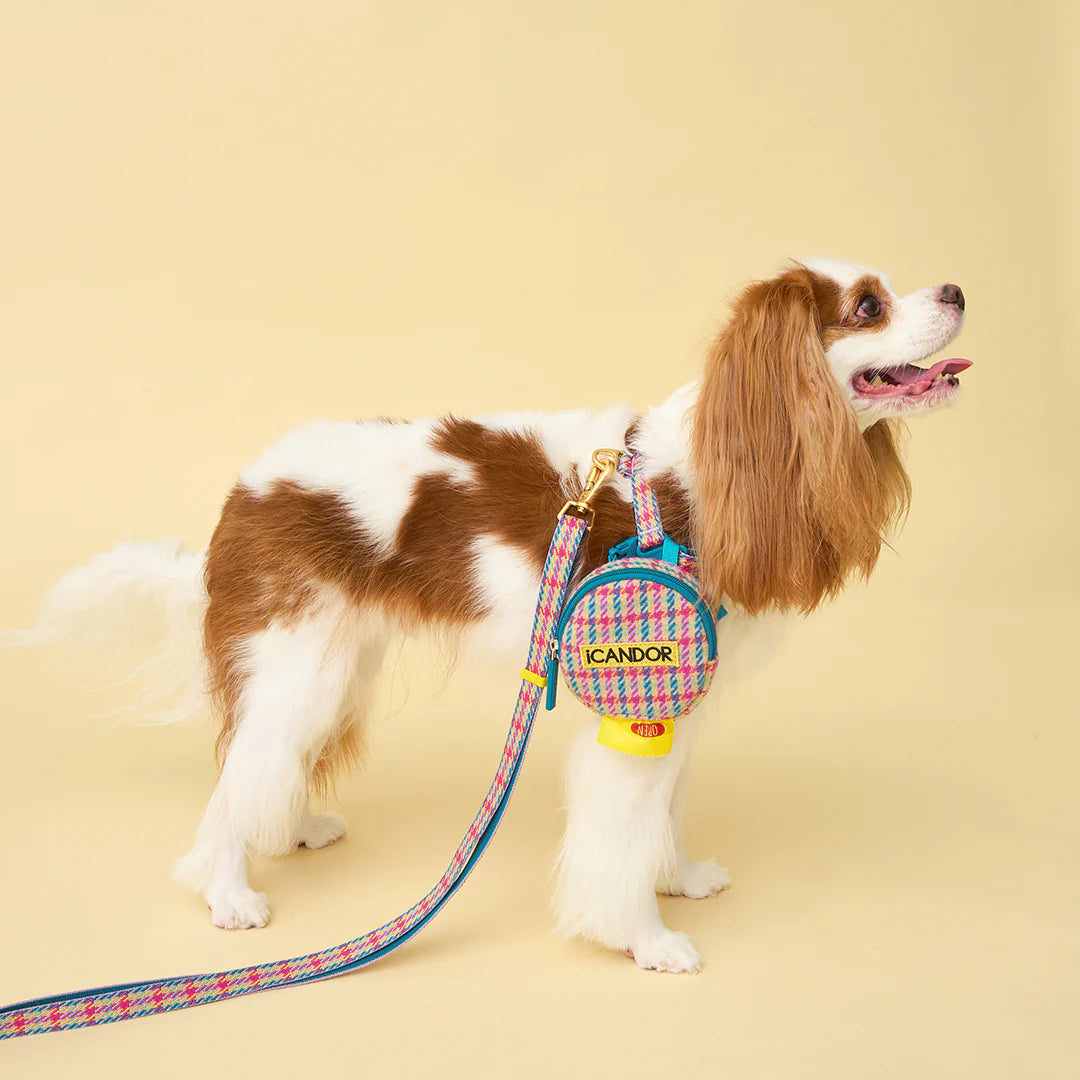 No-Pull Harness | Edinburgh Check