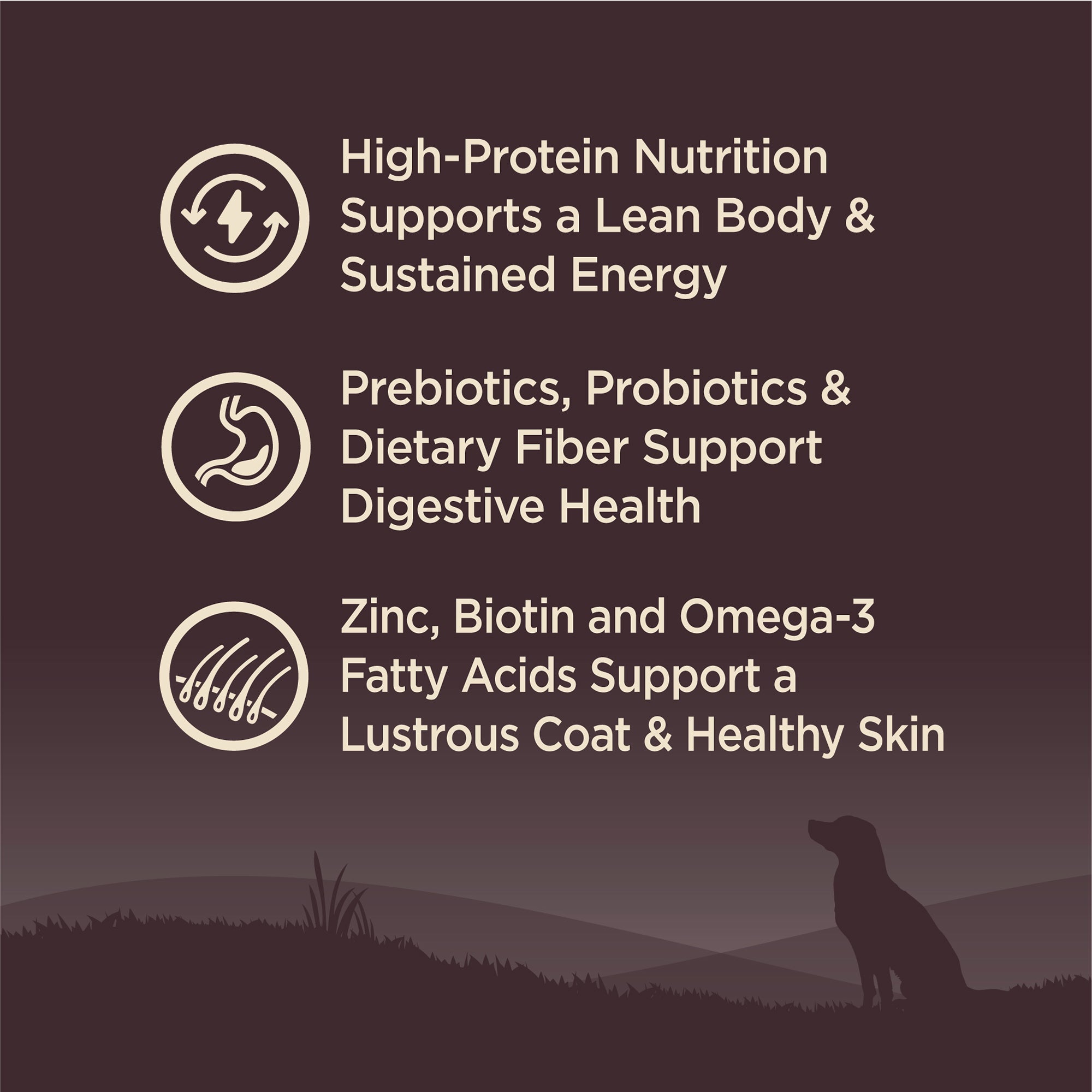 Wellness CORE Grain-Free Ocean Formula Dry Dog Food