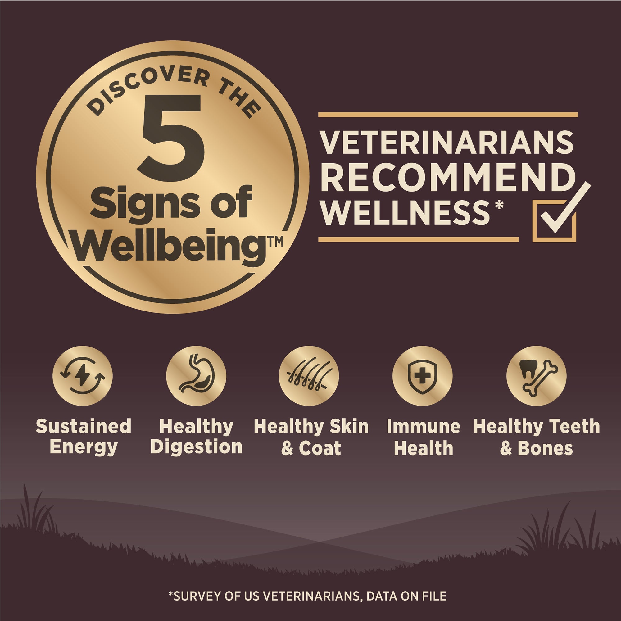 Wellness CORE Grain-Free Ocean Formula Dry Dog Food