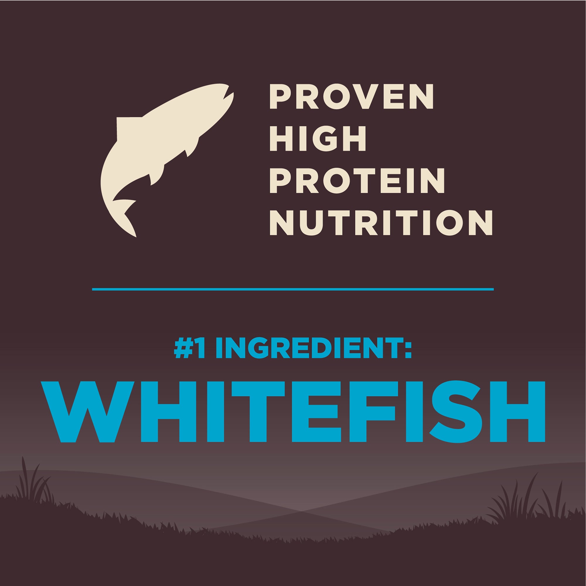 Wellness CORE Grain-Free Ocean Formula Dry Dog Food