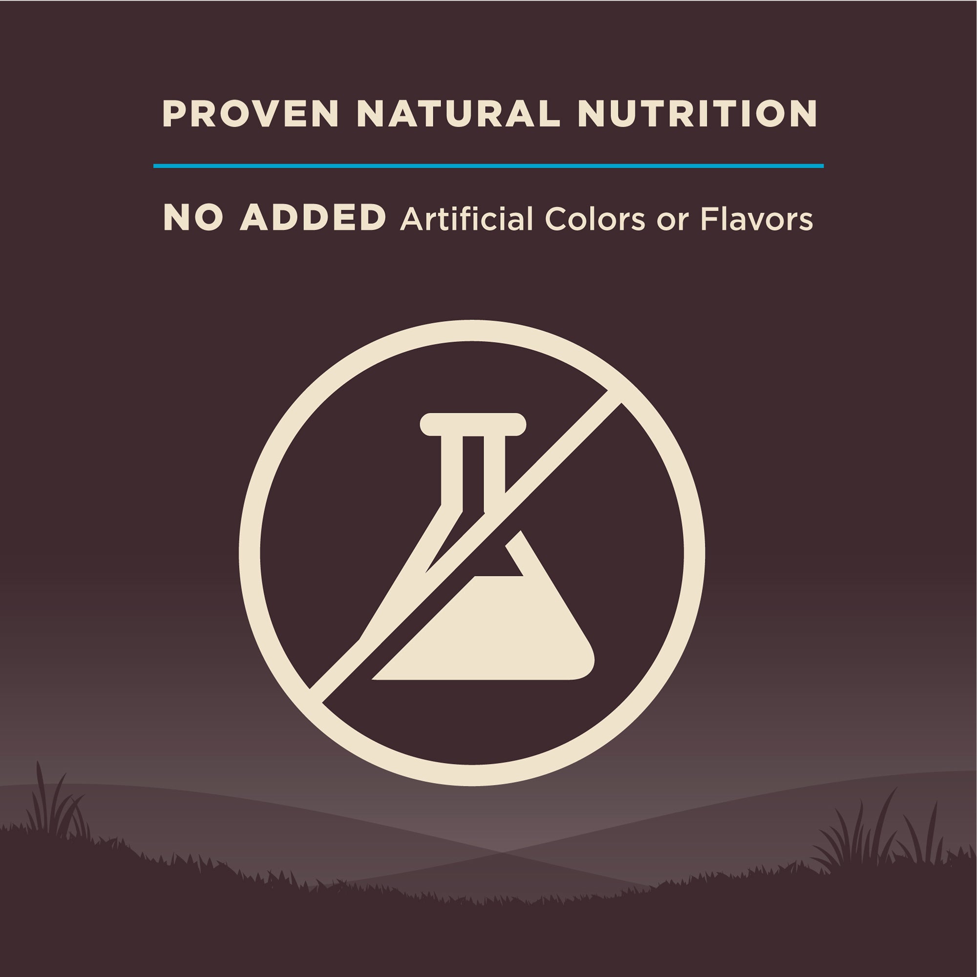 Wellness CORE Grain-Free Ocean Formula Dry Dog Food