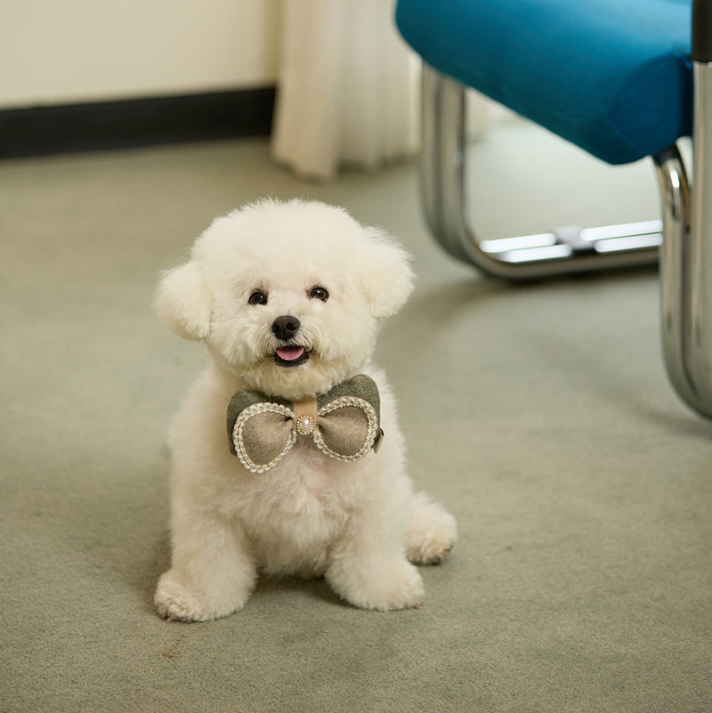 Winter Night Pet Collar Clip (Bow)