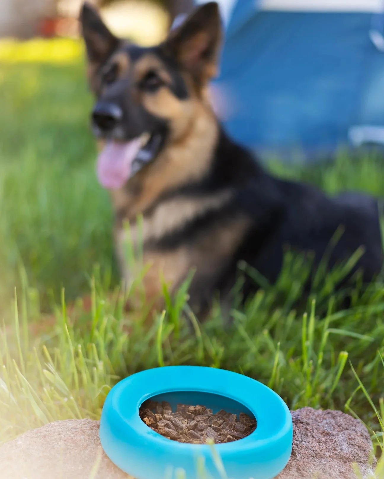 Silicone Non-Spill Travel Dog Bowl
