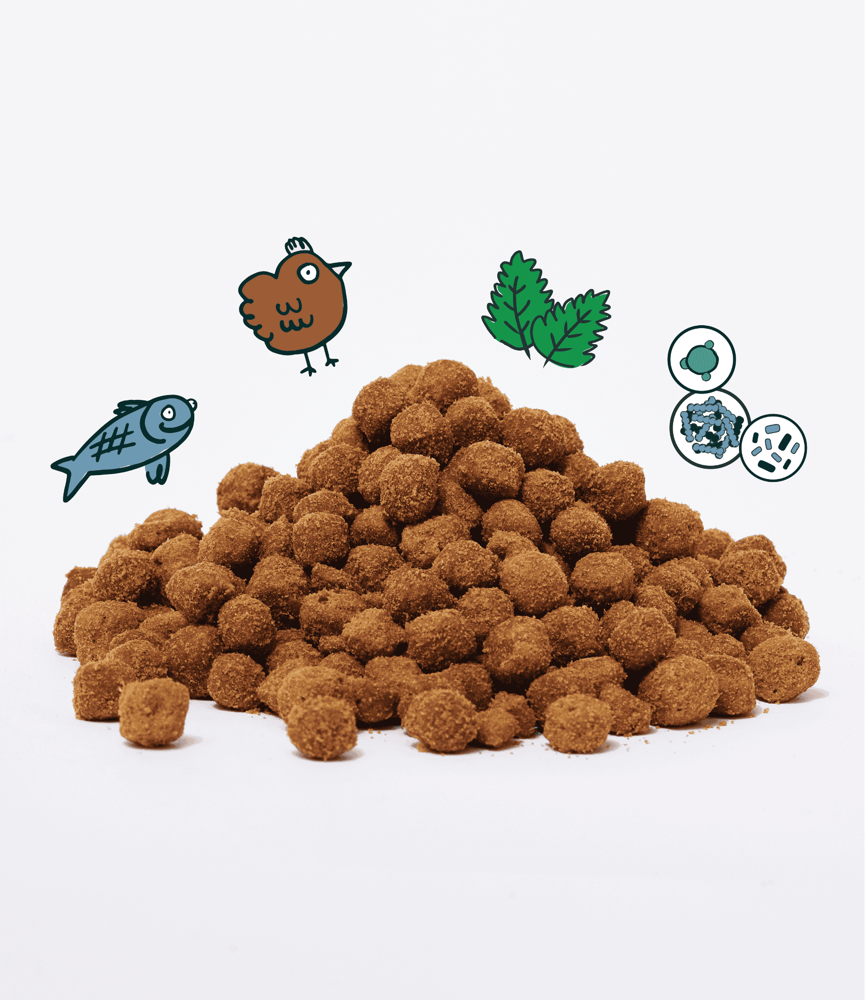 Notti Cat Plaque Control Dental Crunch (80g)