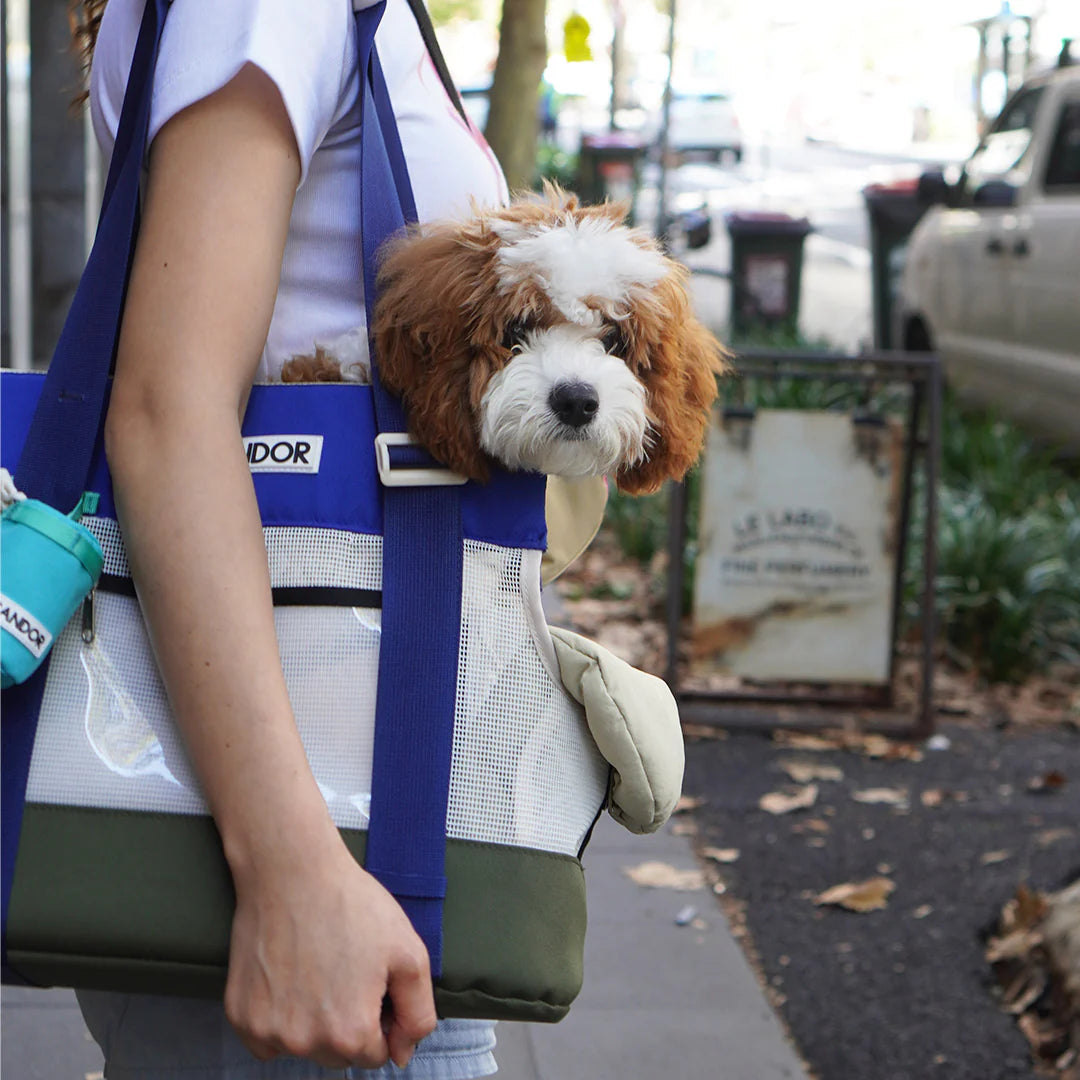 Brisbane Pet Carrier | Eastwood Blue
