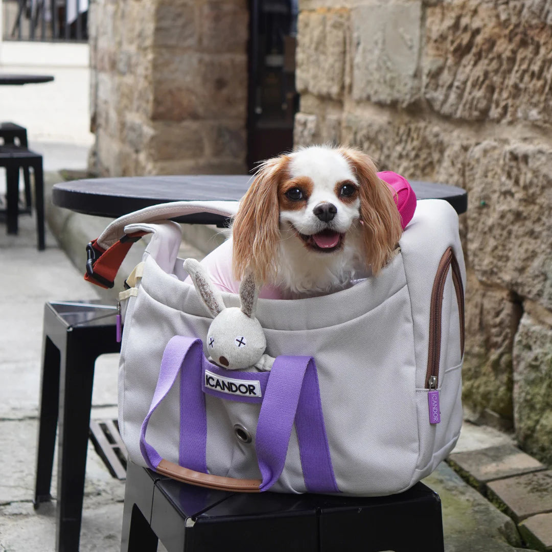 Peek-a-boo Pet Carrier - Plum Grey (2 Sizes)
